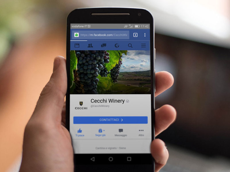 Portfolio_Irene-Iunco_Social-Network