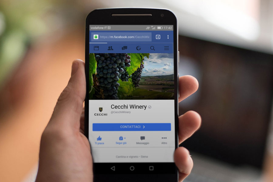 Portfolio_Irene-Iunco_Social-Network